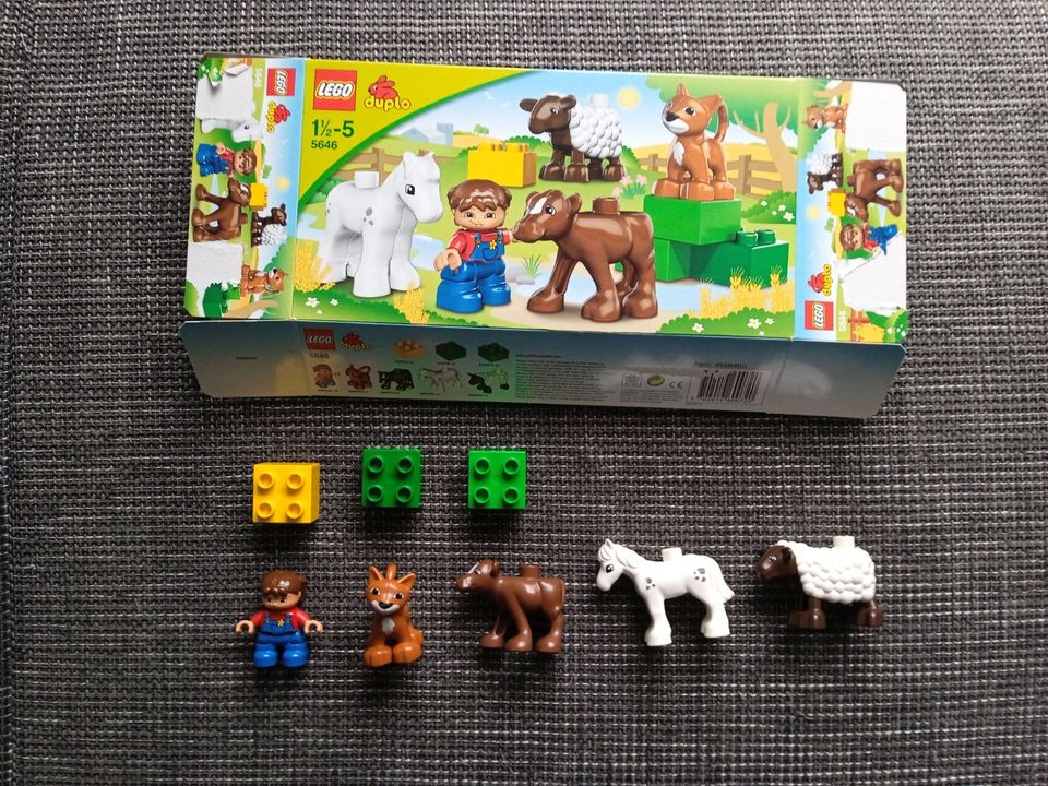 LEGO Duplo 5646 - Tierbabys auf dem Bauernhof in Hamburg