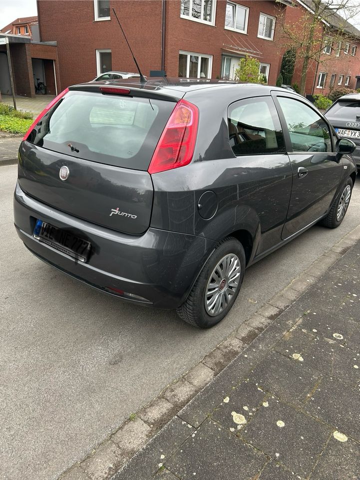 Fiat Punto 1.4     Mit neuem tüv in Harsewinkel