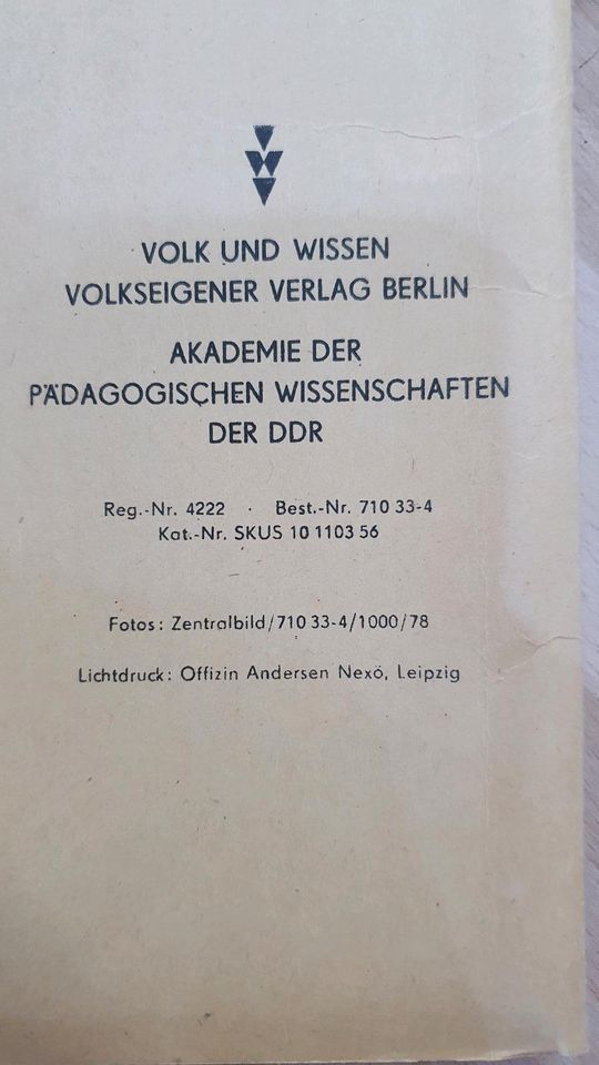 Kunstdruck Plakat Kunsterziehung  Volk und Wissen VEB Dürer usw in Pössneck