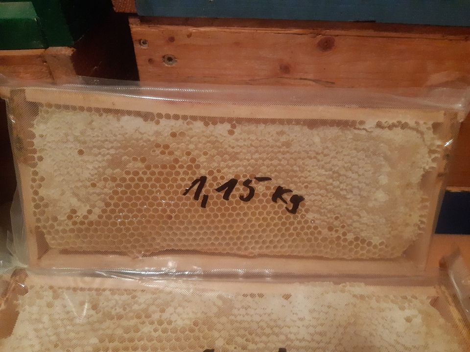 Wabenhonig Naturbau 4 St. im Rahmen/Vacuum 2023 Bienen Hobbyimker in Reinhardtsgrimma