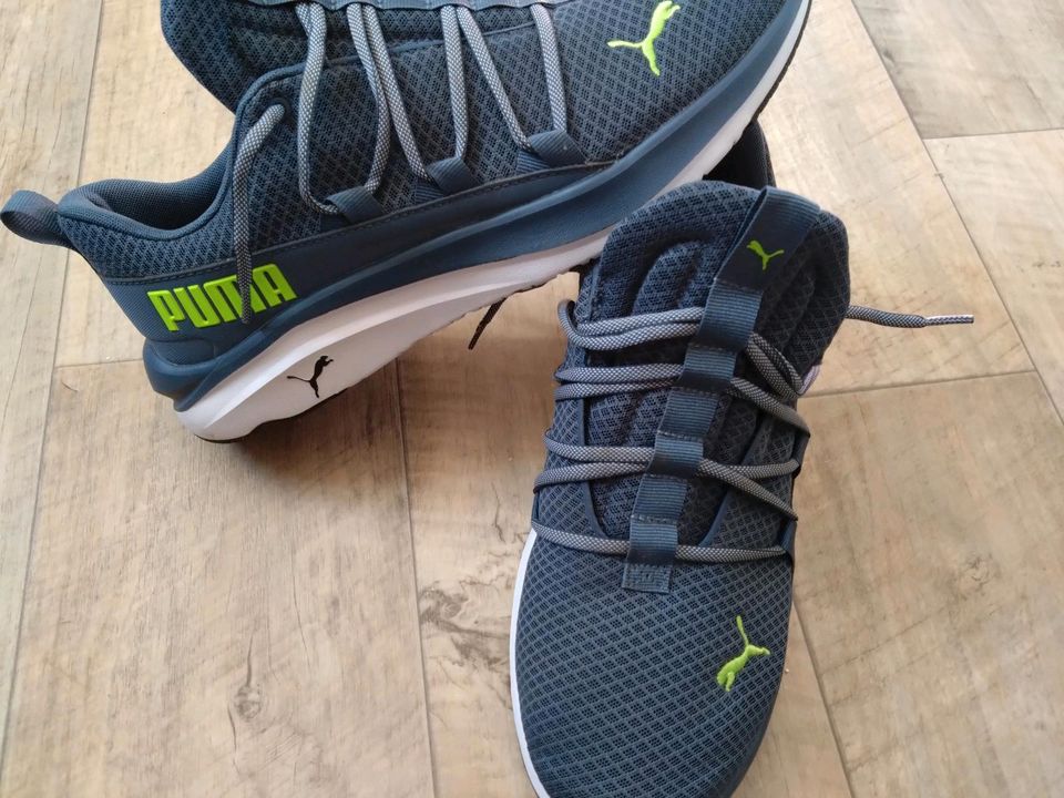 Puma Softride Laufschuhe neu, ungetragen, NP 75€ in Schwarzenberg (Erzgebirge)