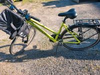 Damen Trekking Fahrrad Sachsen-Anhalt - Zabenstedt Vorschau