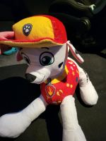 Marshall  paw patrol  Plüschtier Niedersachsen - Göttingen Vorschau