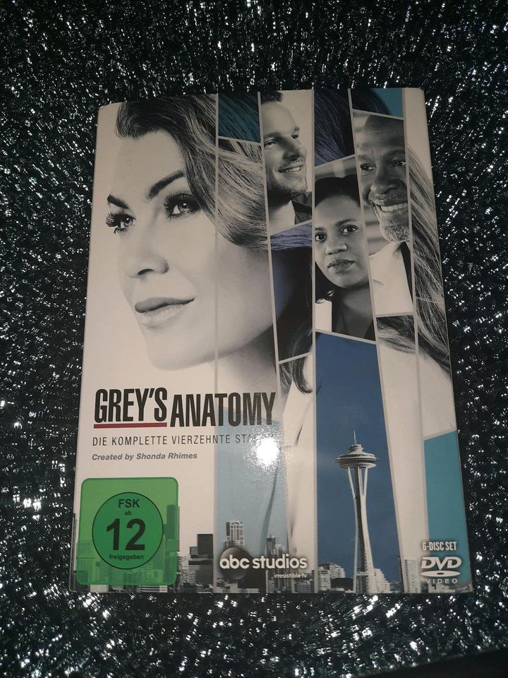 Grey's Anatomy Staffel 14 in Jettingen-Scheppach