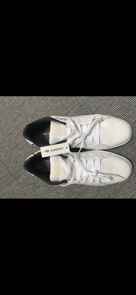 Lacoste Schuhe Gr. 44.5 *NEU* in Wendehausen