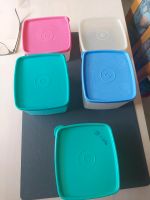 5x Tupperware Dosen Häfen - Bremerhaven Vorschau