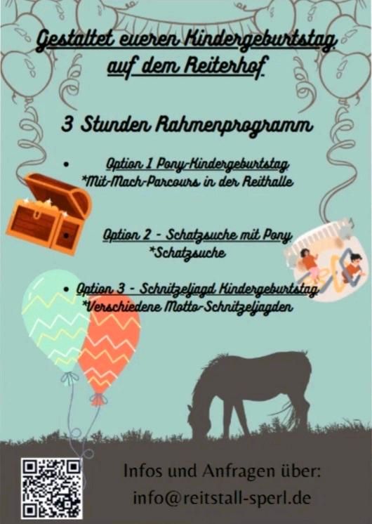 Erlebnisprogramm Kindergeburtstag! Pony reiten - Schatzsuche in Fischbachtal