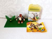 LEGO Creator 4916 – 3 in 1 Tier-Set ☘️ Affe ☘️ Krokodil ☘️ Vogel Kiel - Mettenhof Vorschau