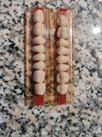 Dental, DDR,OSTALGIE, Zahntechnik Sachsen-Anhalt - Bitterfeld Vorschau
