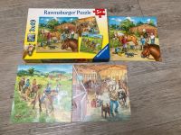 3 Pferde-Puzzle Ravensburger, je 49 Teile Kreis Pinneberg - Pinneberg Vorschau