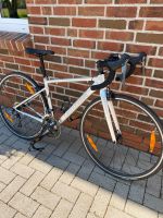 Rennrad Cannondale Caad Optimo 4 SLV RH 48 neuwertig Niedersachsen - Südbrookmerland Vorschau