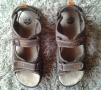 Trekkingsandalen Adventuridge Sandalen Herren  Größe 45 Baden-Württemberg - Ludwigsburg Vorschau