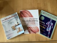 Literatur Muskelbuch Muskeltraining Anatomie Stretching Gelenke Niedersachsen - Freden Vorschau