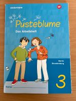 Pusteblume 3 - Arbeitsheft - ISBN 9783141342260 Berlin - Biesdorf Vorschau