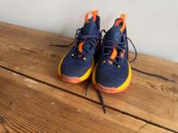 Basketballschuhe SE900 40 Tarmak NBA Golden State Warriors blau Pankow - Prenzlauer Berg Vorschau