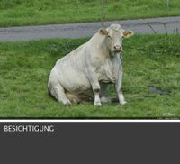 Landwirtschaftliche Hofstelle gesucht ! Rheinland-Pfalz - Fronhofen bei Simmern Vorschau