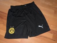 BVB kurze Hose Trainingshose Gr.176 Hessen - Bad Soden am Taunus Vorschau