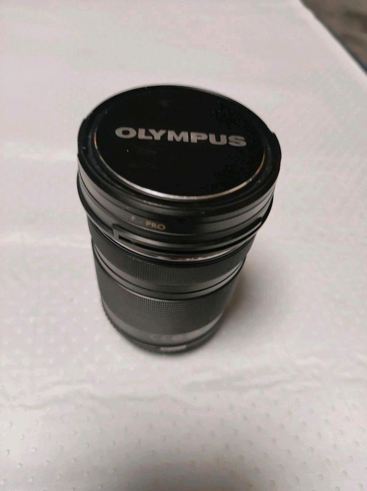 Olympus OMD E-M 1 mit Olympus 40-150mm Objektiv in Hamburg