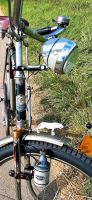 "Panther Original" von 1942. Oldtimer Fahrrad. Altes Herrenfahrra Niedersachsen - Lengede Vorschau