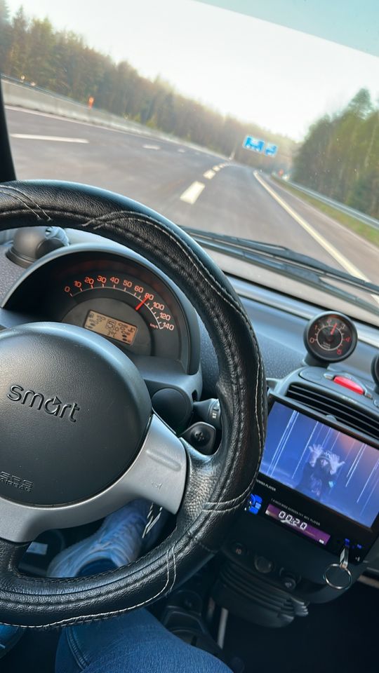 Smart 450 Cabrio Diesel in Kirchheim