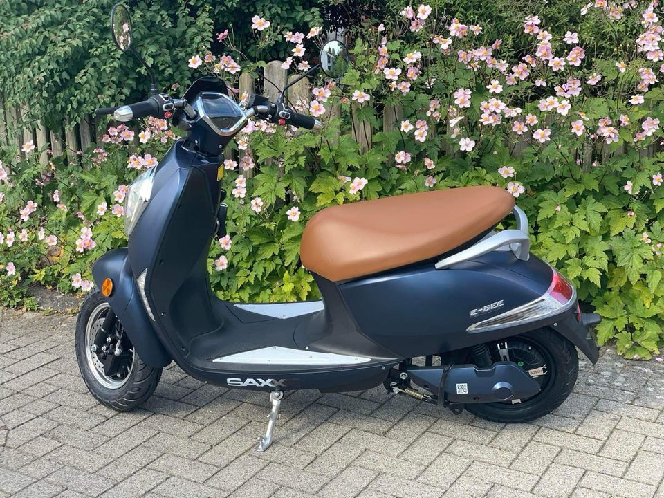 SAXXX Elektro Roller E Bee Scooter 45km/h in Handewitt