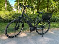 Triumph E-Bird Ultra 400 E-Bike City Trapez, wenig km Berlin - Köpenick Vorschau