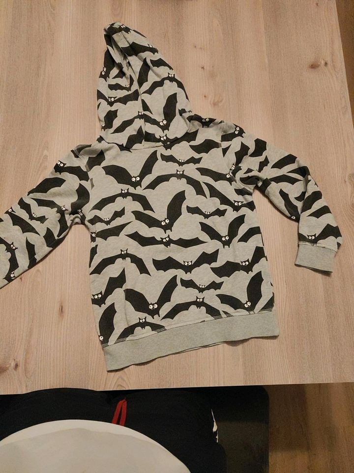 Jungen Pullover in Kropp