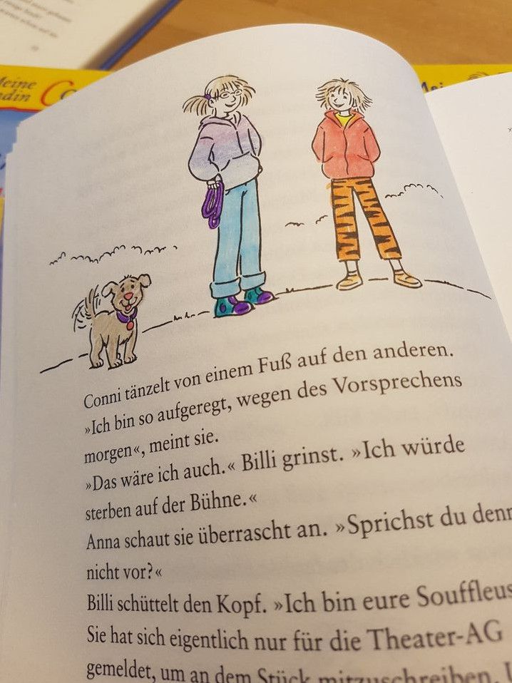 Meine Freundin Conni, 10 Bücher, Band 4,5,10,12,13,21,22,23,28,. in Aachen