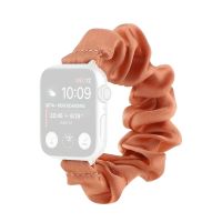 146 Stück Apple Watch Armbänder - Verkaufspreis 582-1.458 Euro Hannover - Südstadt-Bult Vorschau