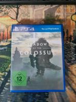 Shadow of Colossus PS4 Baden-Württemberg - Hattenhofen Vorschau
