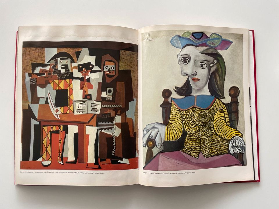 Hommage a Pablo Picasso Buch Bild Kunst in Hamburg