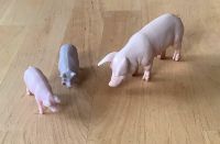 Schleich Schwein + 2 kleine Schweine, Spielzeug-Tiere Bayern - Unterleinleiter Vorschau
