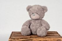 Teddy Bär aus Plüsch ohne Gelenke kindersicher unbespielt 24 cm Herzogtum Lauenburg - Schwarzenbek Vorschau