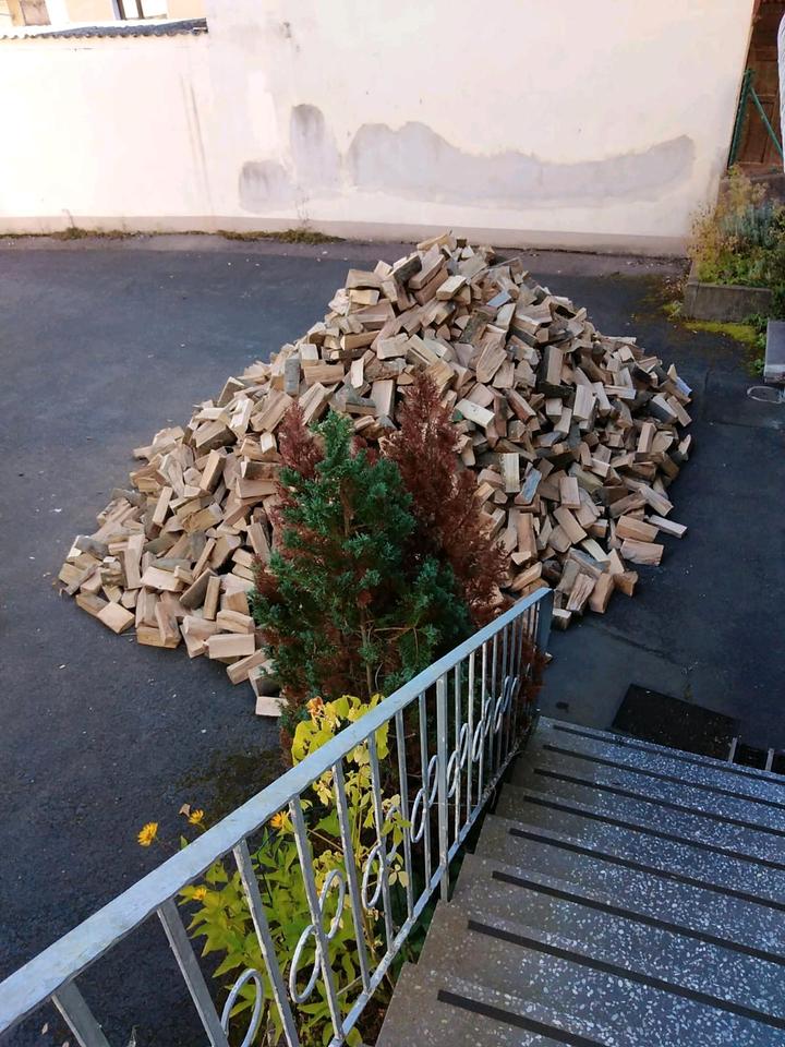 Brennholz, Kaminholz, Feuerholz, Buche trocken sofort verheizbar in Nüdlingen
