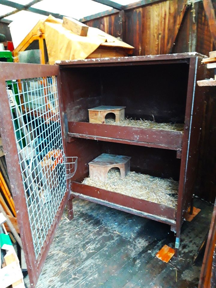 Wachteln Stall Käfig Hasen Kaninchen Meerschweinchen in Kassel