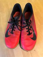 Turnschuhe Halle Nike 42 Sachsen - Wittgensdorf Vorschau