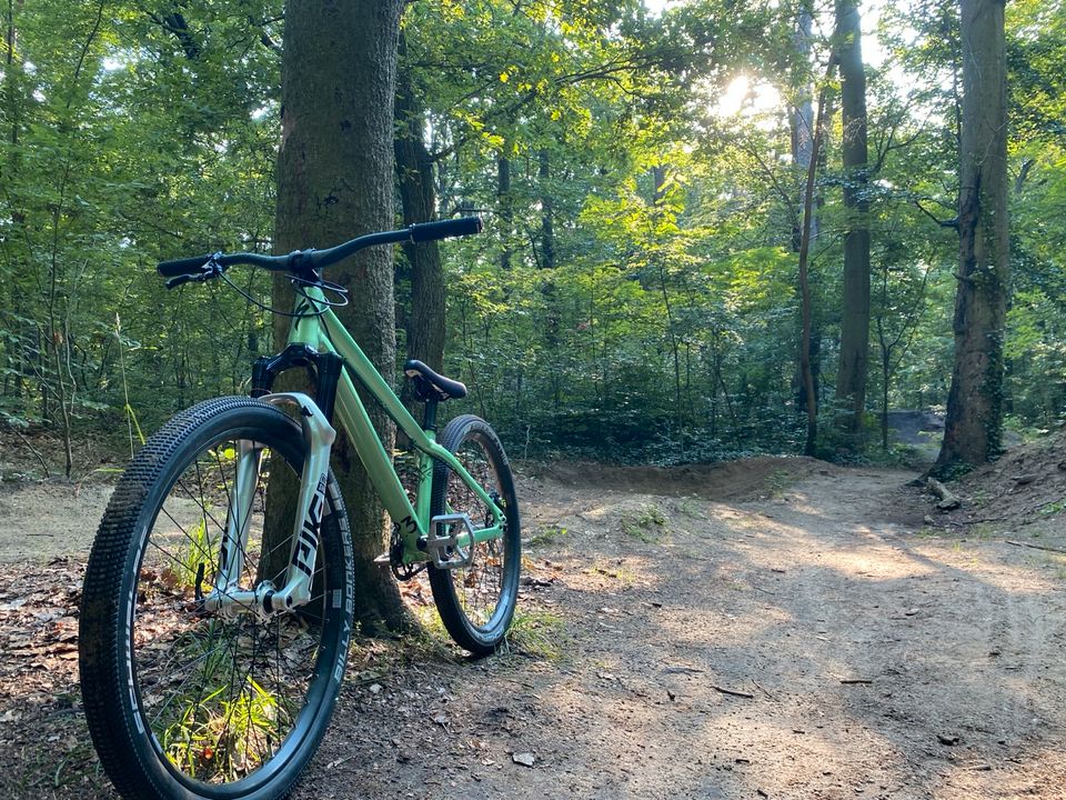 DirtBike / MTB Specialized Custom Aufbau in Brandenburg an der Havel