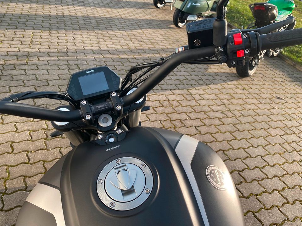 Benelli Cruiser 502 C E5 ABS | A2 | auf Lager in Walsrode