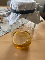 Kombucha Teepilz Scoby Bayern - Rosenheim Vorschau