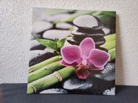 Bild Orchideen 50x50 cm Rheinland-Pfalz - Simmern Vorschau