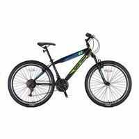 26 Zoll Mountainbike Geroni 21Gang  Felgenbremse Grün Nordrhein-Westfalen - Greven Vorschau