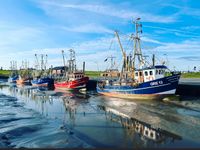 Ferienwohnung an der Nordsee Nähe Cuxhaven Wurster Nordseeküste - Spieka Vorschau