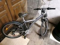 Rixe Jugendfahrrad 26 Zoll Unisex 21 Gang Sachsen - Zwickau Vorschau