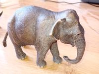 Schleich Elefant Nordrhein-Westfalen - Gescher Vorschau