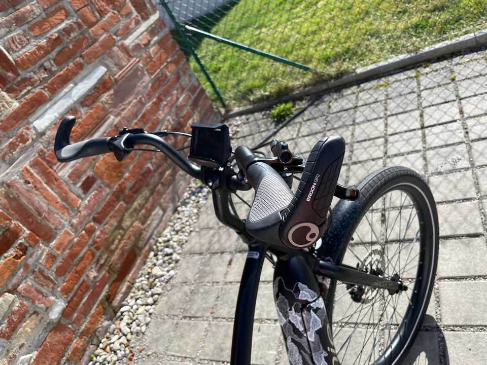E-Bike/Pedelac, Electra Townie Path Go!, super Zustand in Königsbrunn