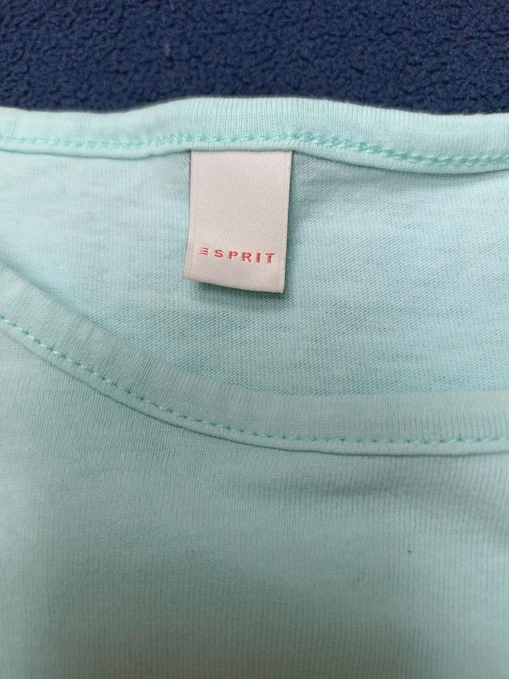 T-Shirt Esprit, Gr. 116/122 in Marklkofen