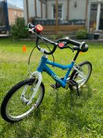 Woom 3 Kinderfahrrad Brandenburg - Schorfheide Vorschau