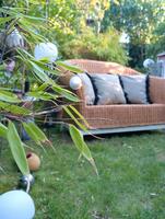❤️ Premium Natur Rattan Möbel! Mit echtem Vollholzrahmen!! Schleswig-Holstein - Henstedt-Ulzburg Vorschau