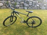 Herrenfahrrad Marke Scott Bayern - Pegnitz Vorschau