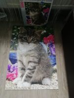 Puzzle Katze Sachsen - Eilenburg Vorschau